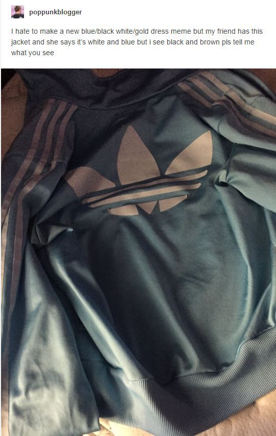 What Color Do You See? Debate Over Jacket Goes Viral Year After 'The Dress'