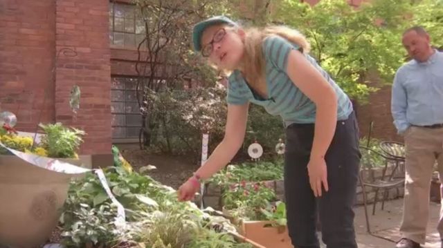 Feet from Bustling Downtown, Sensory Garden Opens in Albany - TWC News