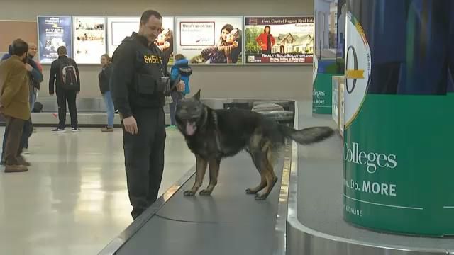 Albany County Sheriff Says Airport Security is Top-Notch - Spectrum News