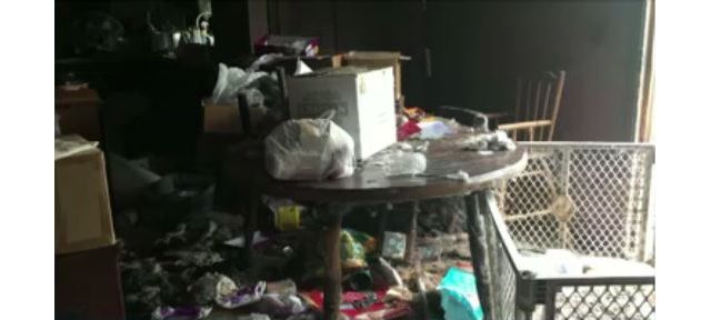 Animal Cruelty Case Uncovered in Albany County - Spectrum News - Spectrum News