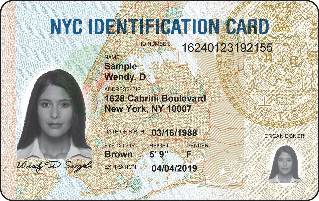 Judge Id Card