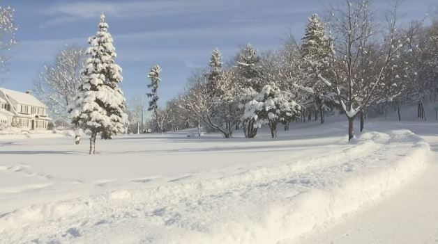 Evidence Suggests Milk and Bread Makers Control Lake Effect Snow - The  Innerloop Blog