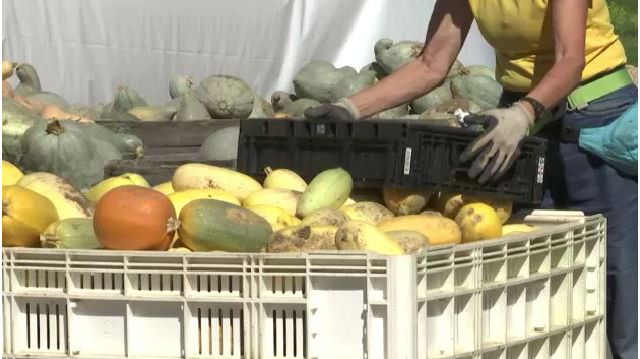 New York Farmers Plan Rally in Albany for Right to Form Union - TWC News