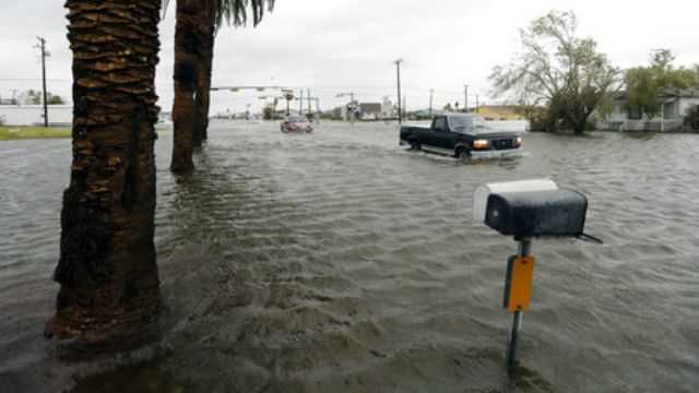 Florida mall shaped like an alligator closed due to flooding because  Florida, Billy Corben