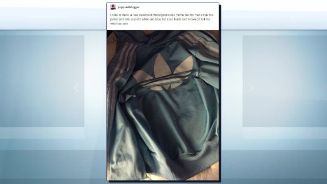 What Color Do You See? Debate Over Jacket Goes Viral Year After 'The Dress