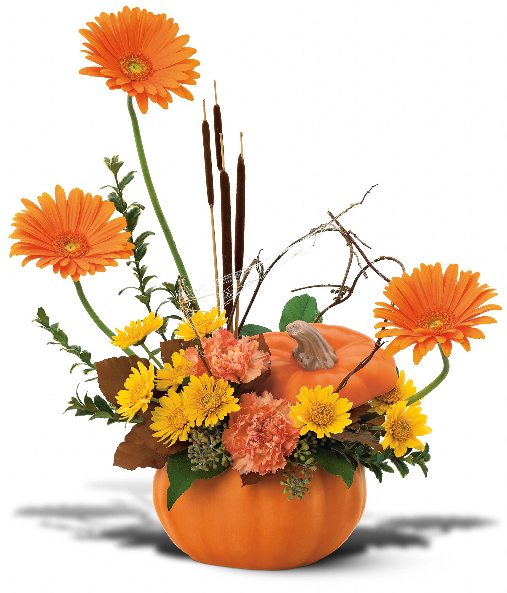 Autumn Pumpkin in Columbus&nbsp;OH, Blumen Garten Florist