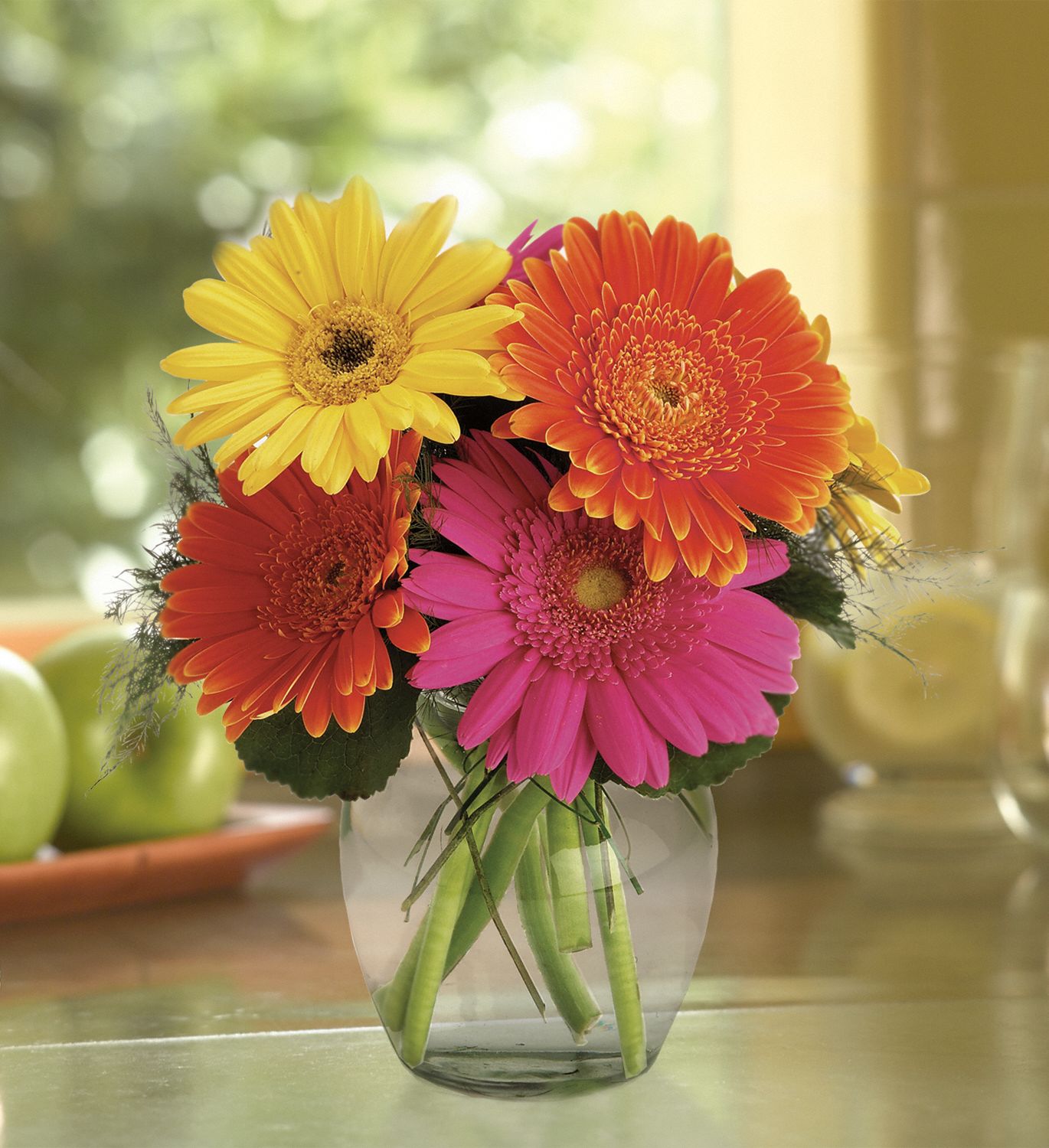 Teleflora's Fiesta Gerbera Vase Flowers