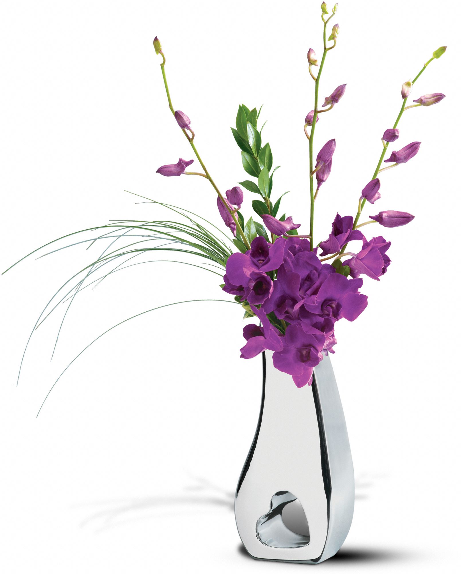 Teleflora's Wild at Heart Bouquet in Chicago&nbsp;IL, Designs By Rosa