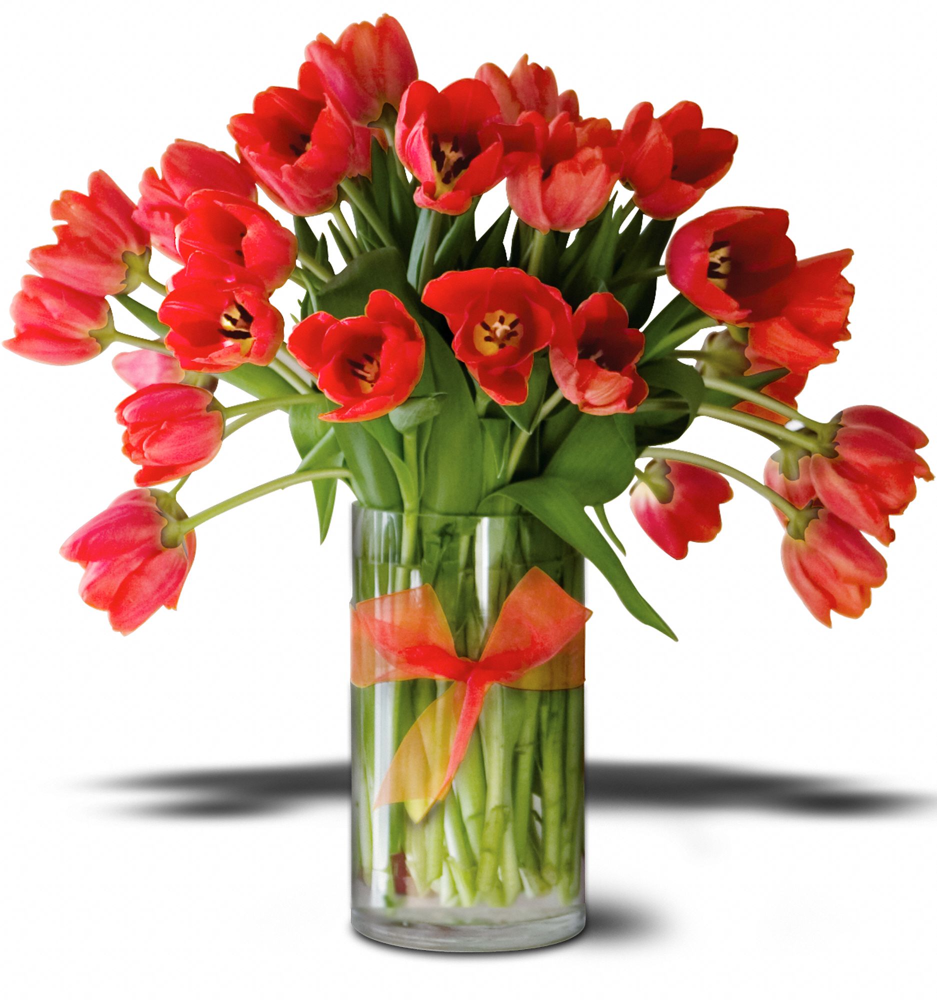 Teleflora's Radiantly Red Tulips Premium in Sanger TX The Lily Pad