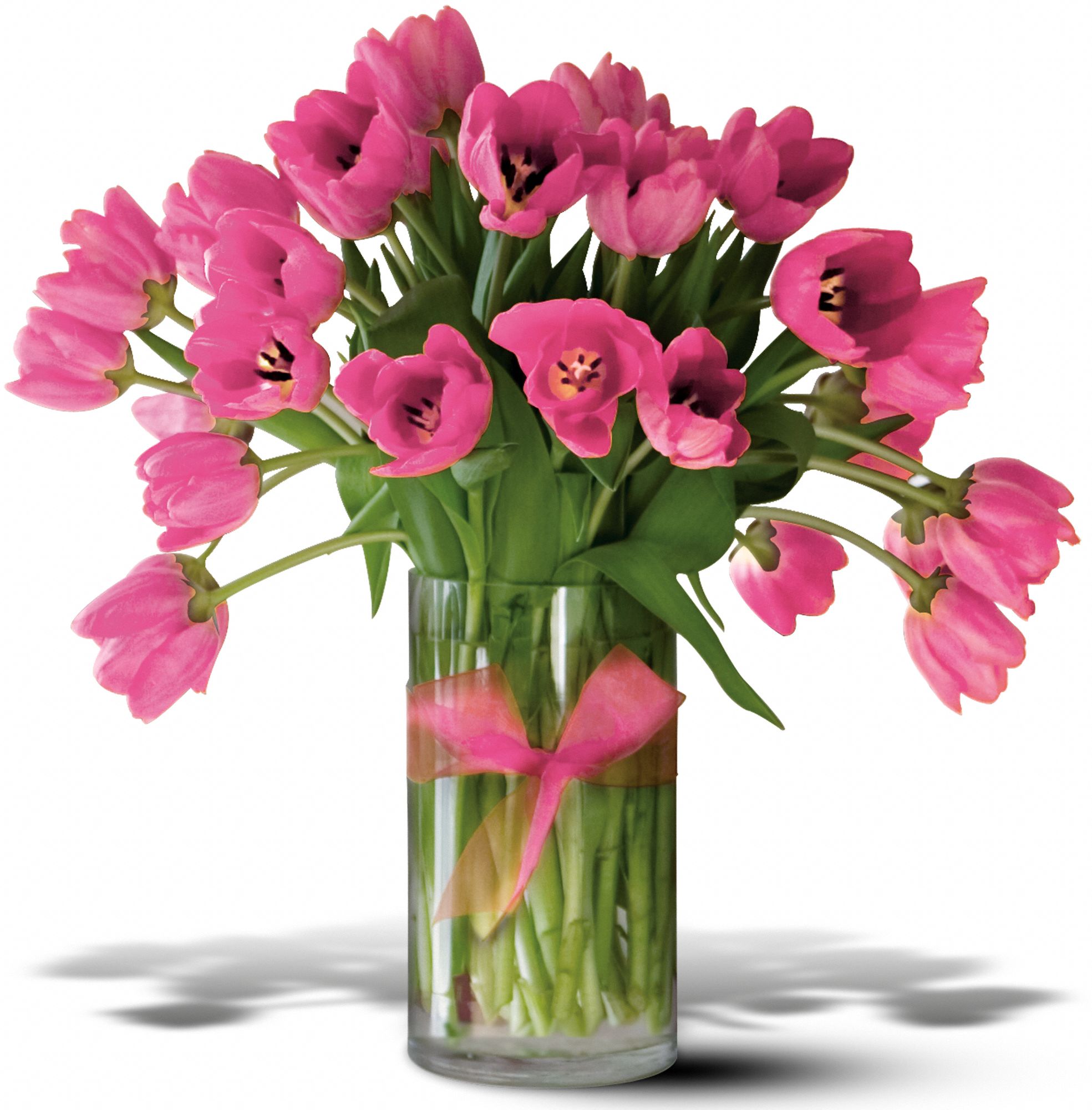 Teleflora's Precious Hot Pink Tulips - Premium in Somerset&nbsp;PA, Somerset Floral Co. & Greenhouses