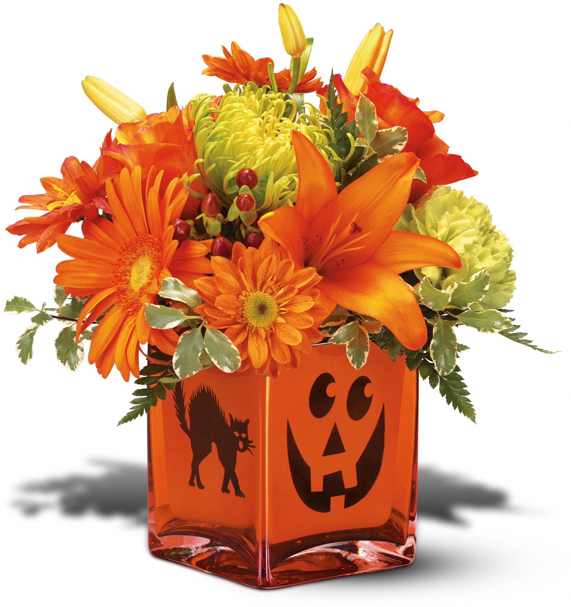 Teleflora's Creepy Cube Bouquet in Brawley&nbsp;CA, Brawley Floral Co.