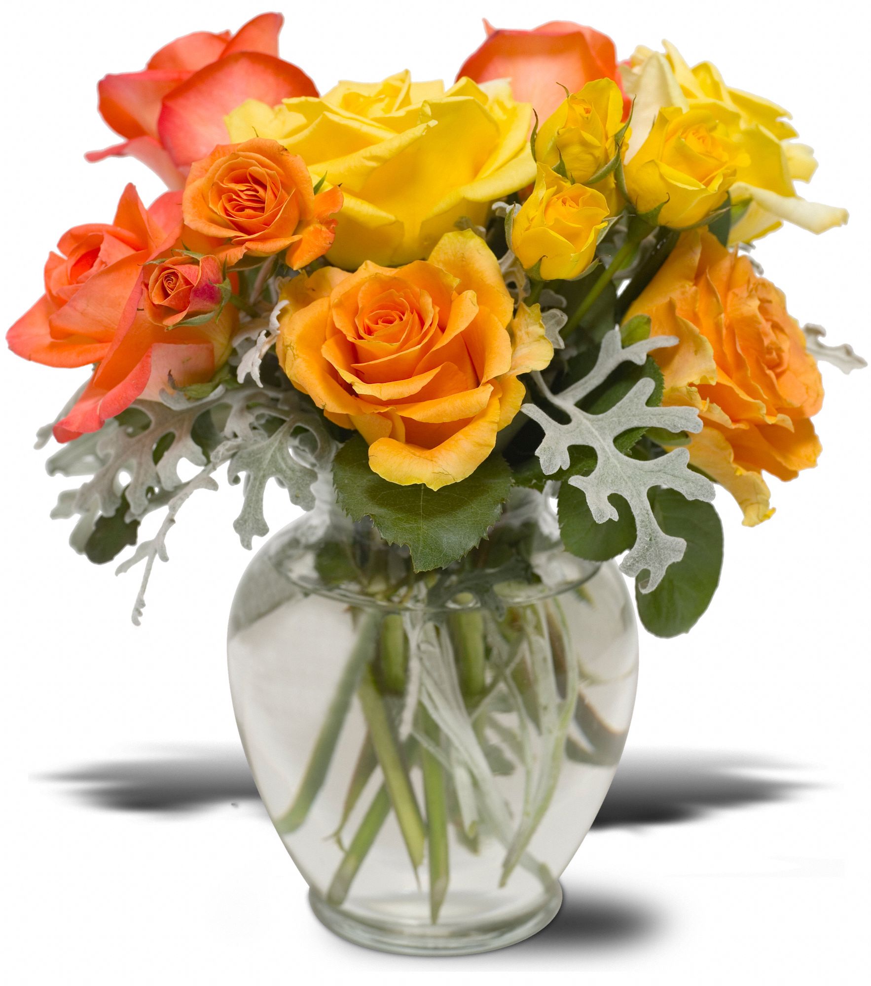 Butterscotch Roses, picture