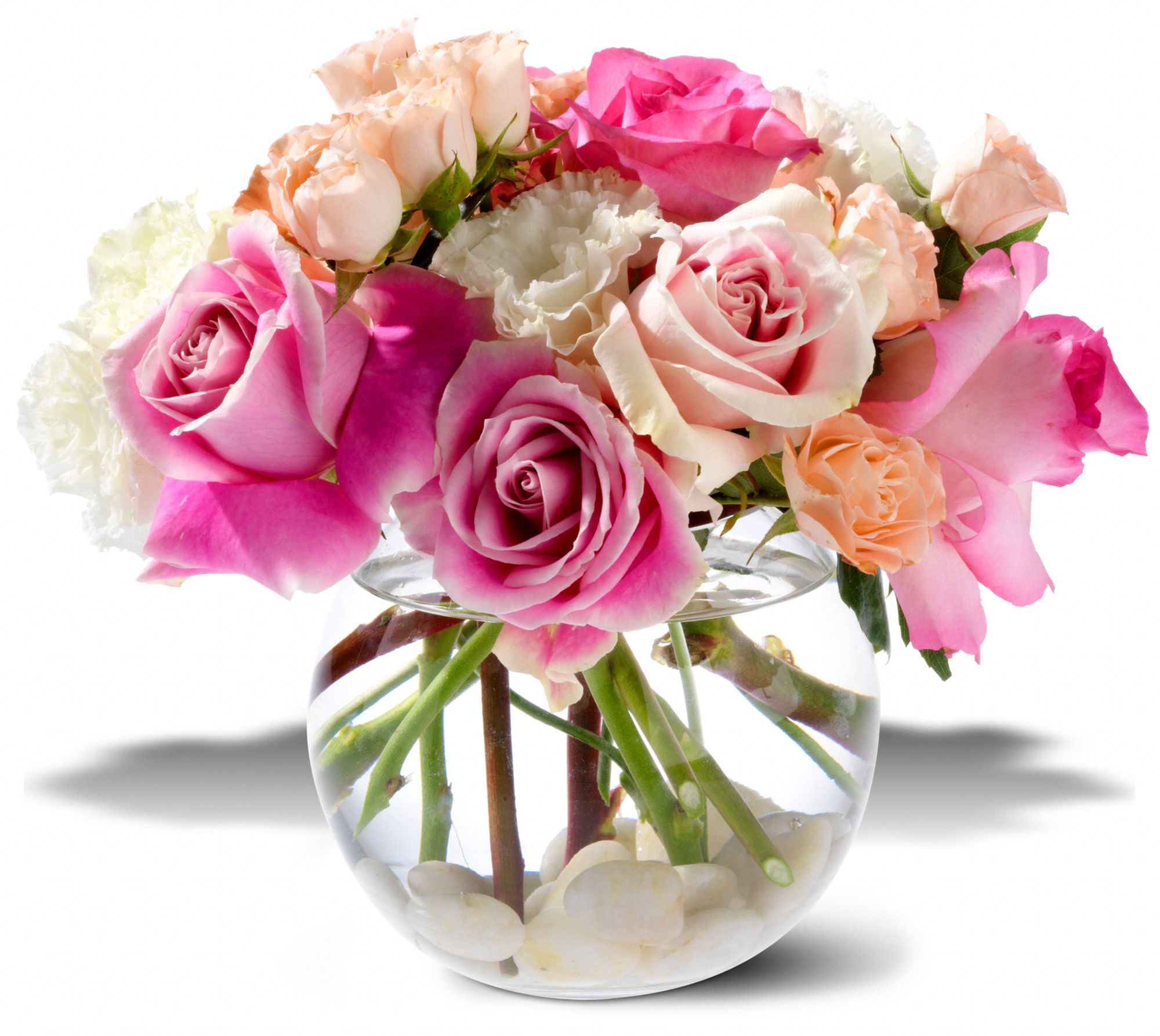 Teleflora's Roses on the Rocks, picture