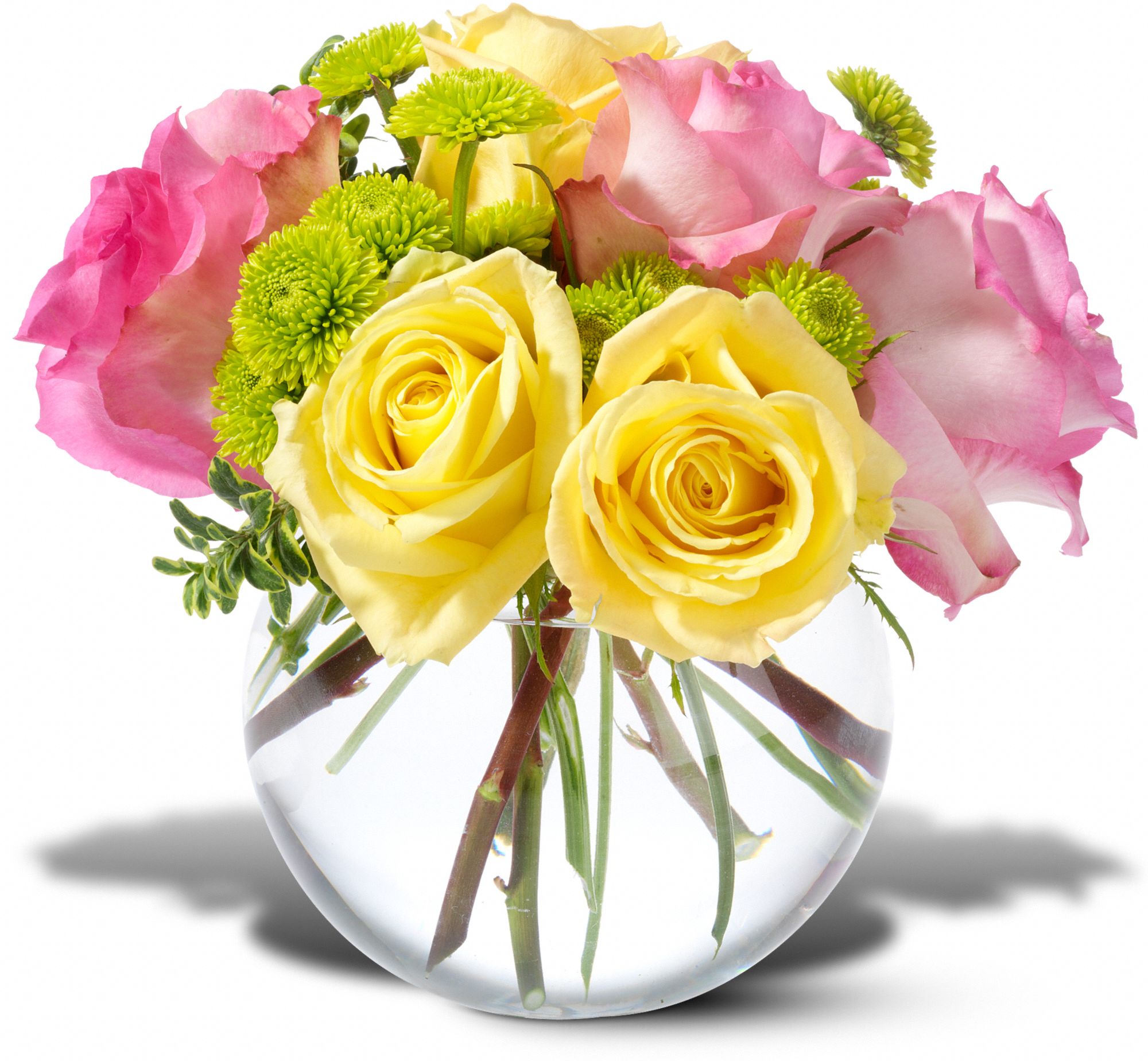 Teleflora's Pink Lemonade Roses, picture