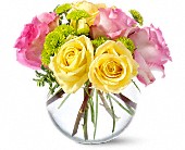 Margie's Florist II, Covington, Louisiana - Teleflora's Pink Lemonade Roses, picture