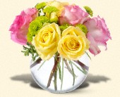 Martin Flowers, Birmingham, Alabama - Teleflora's Pink Lemonade Roses, picture