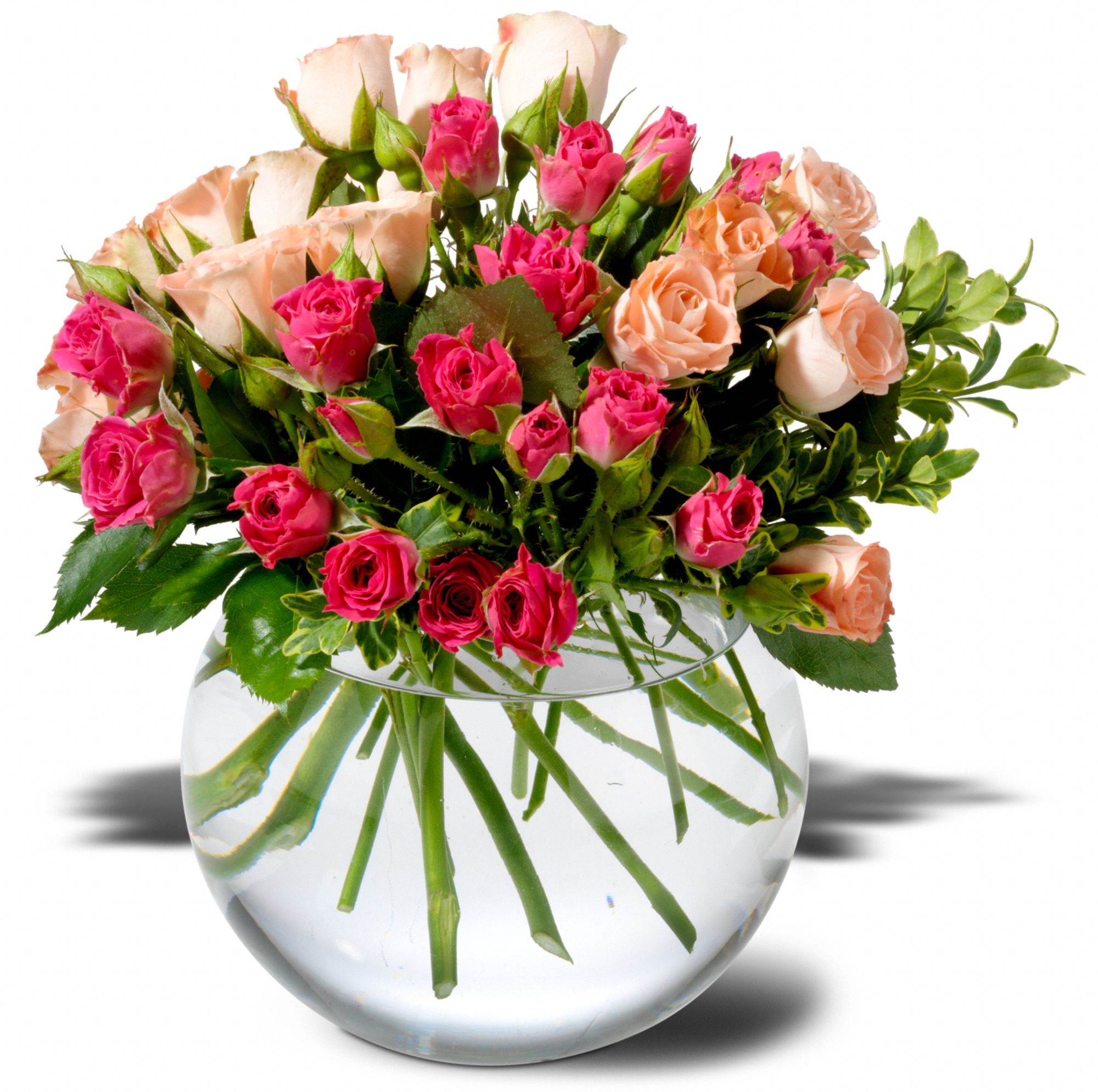 Teleflora's Crimson & Coral Roses, picture