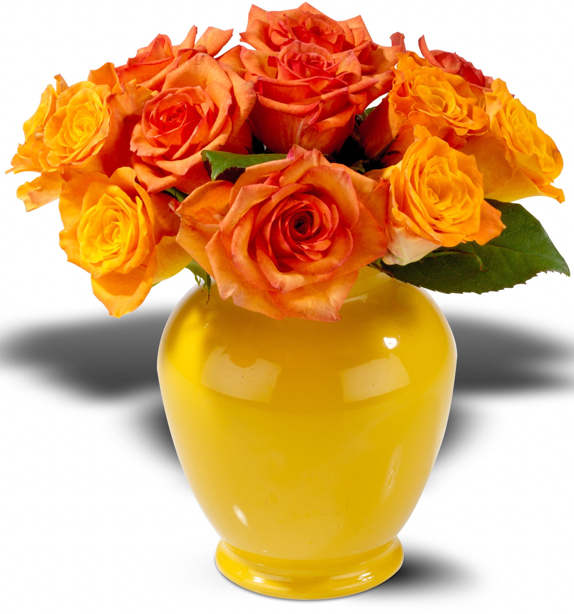 Teleflora's Riviera Roses, picture