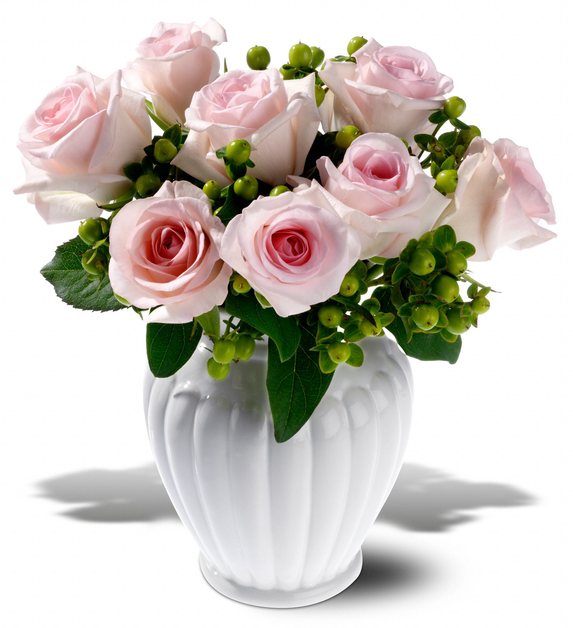 Cinderella Roses graphic