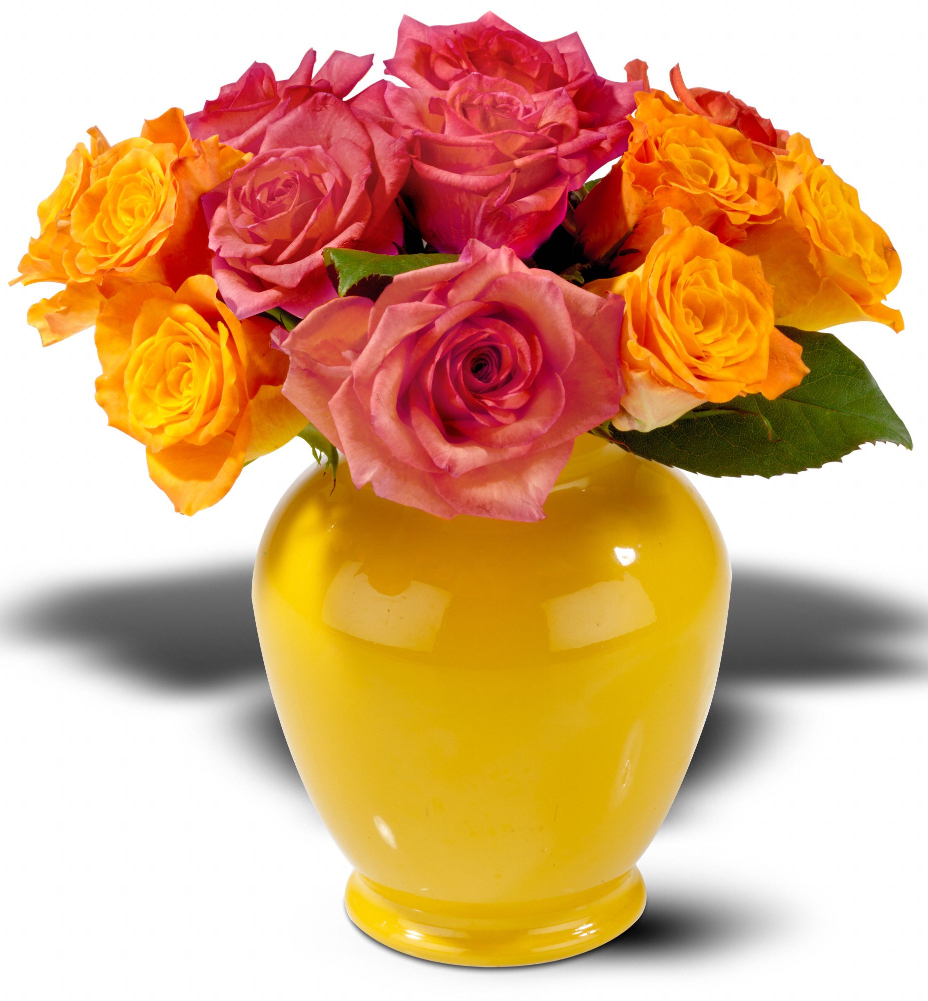 Teleflora�s Rose Duet, picture