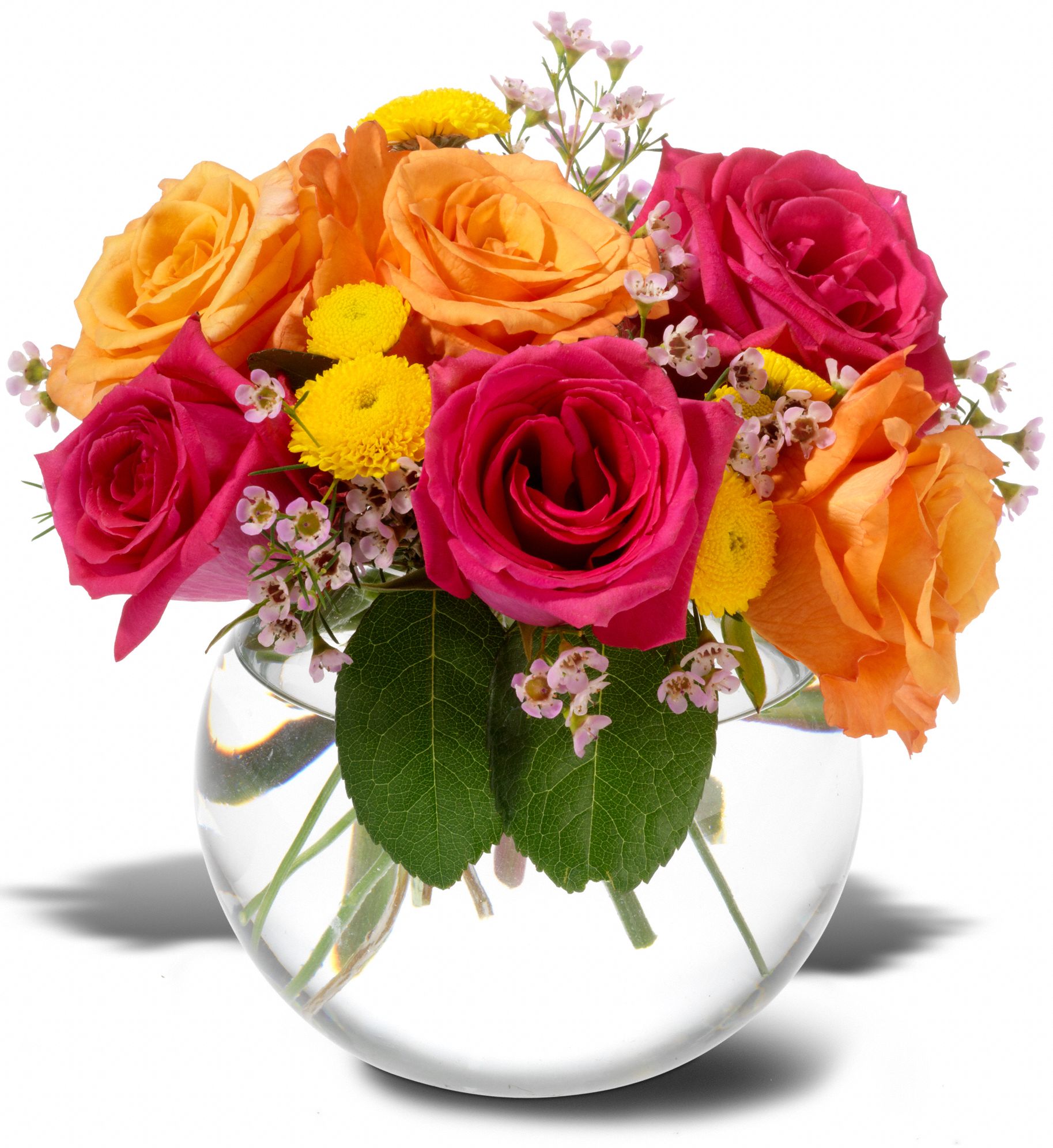 Teleflora's Rose Bliss, picture
