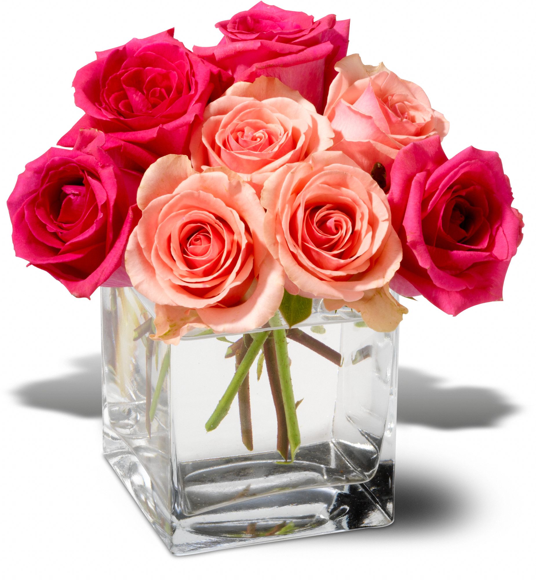 Teleflora's Party in Pink in Greenville&nbsp;SC, Greenville Pelham Florist