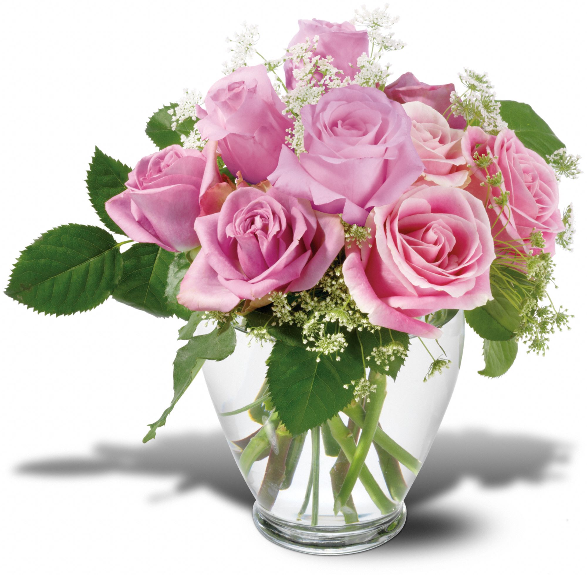 Tender Pinks graphic