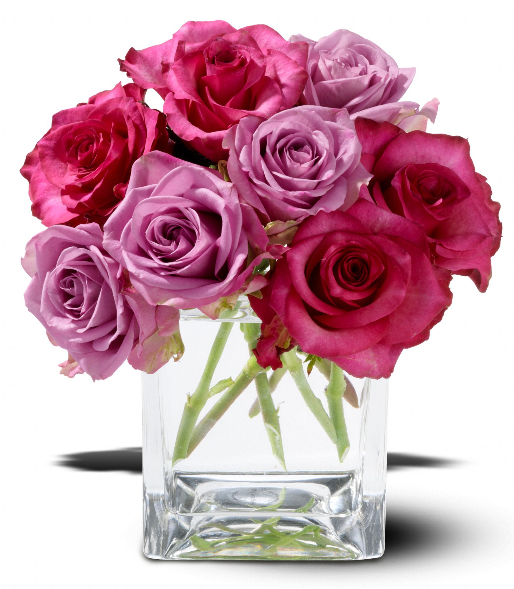 Teleflora's Wild Plum Roses in Greenville&nbsp;SC, Greenville Pelham Florist