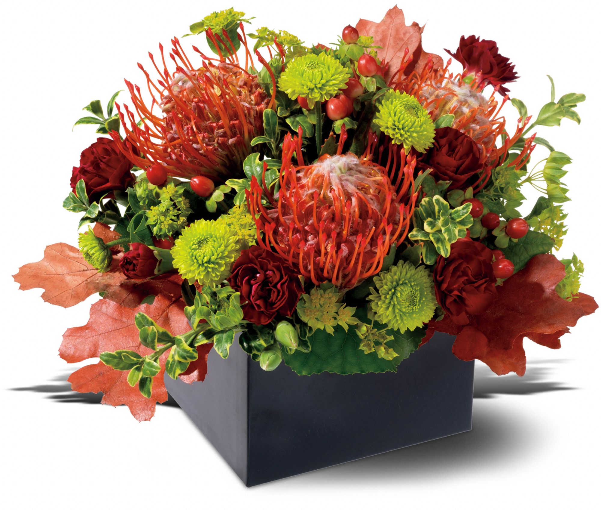 Protea Garden, picture