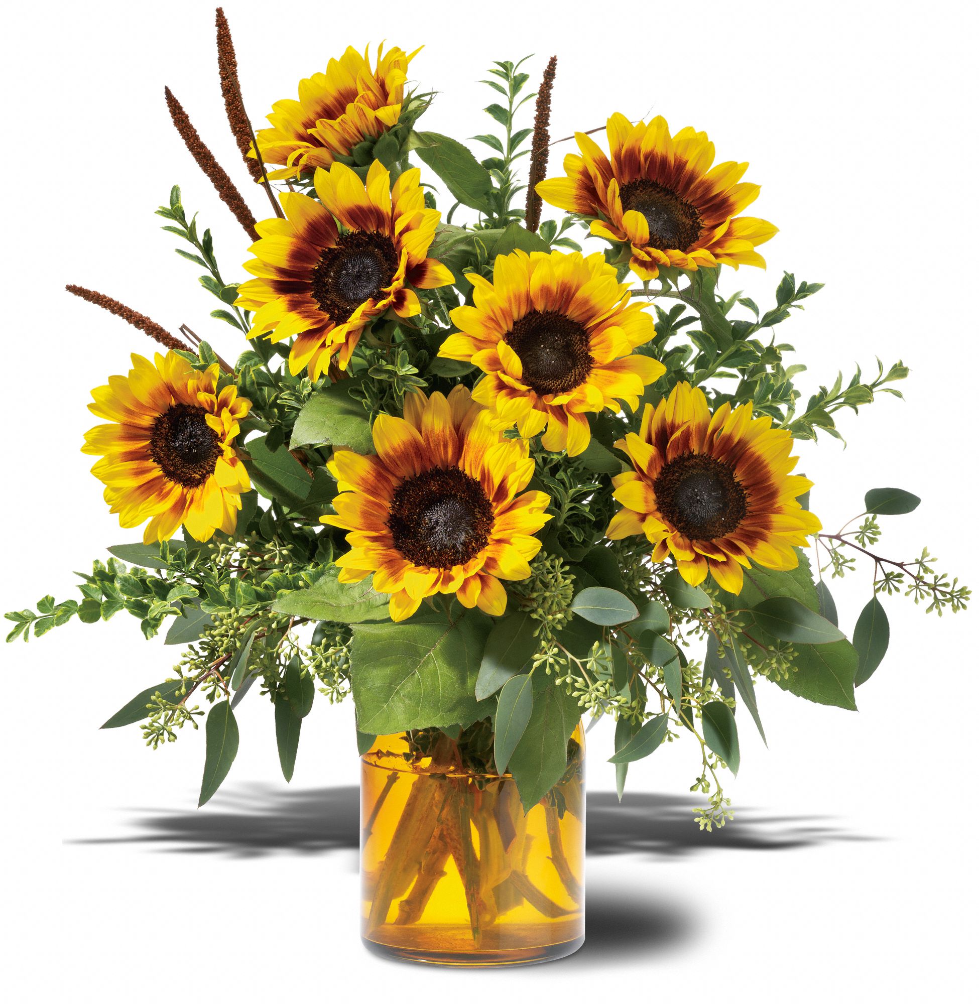 Sunrise Sunflowers, picture