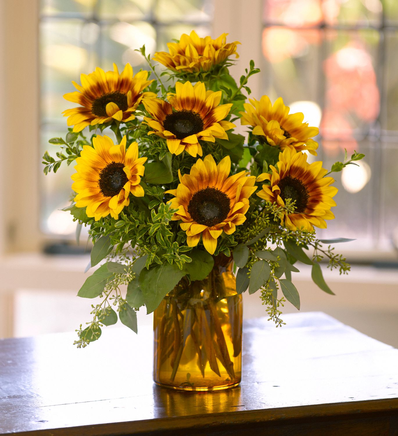 Sunrise Sun Flowers