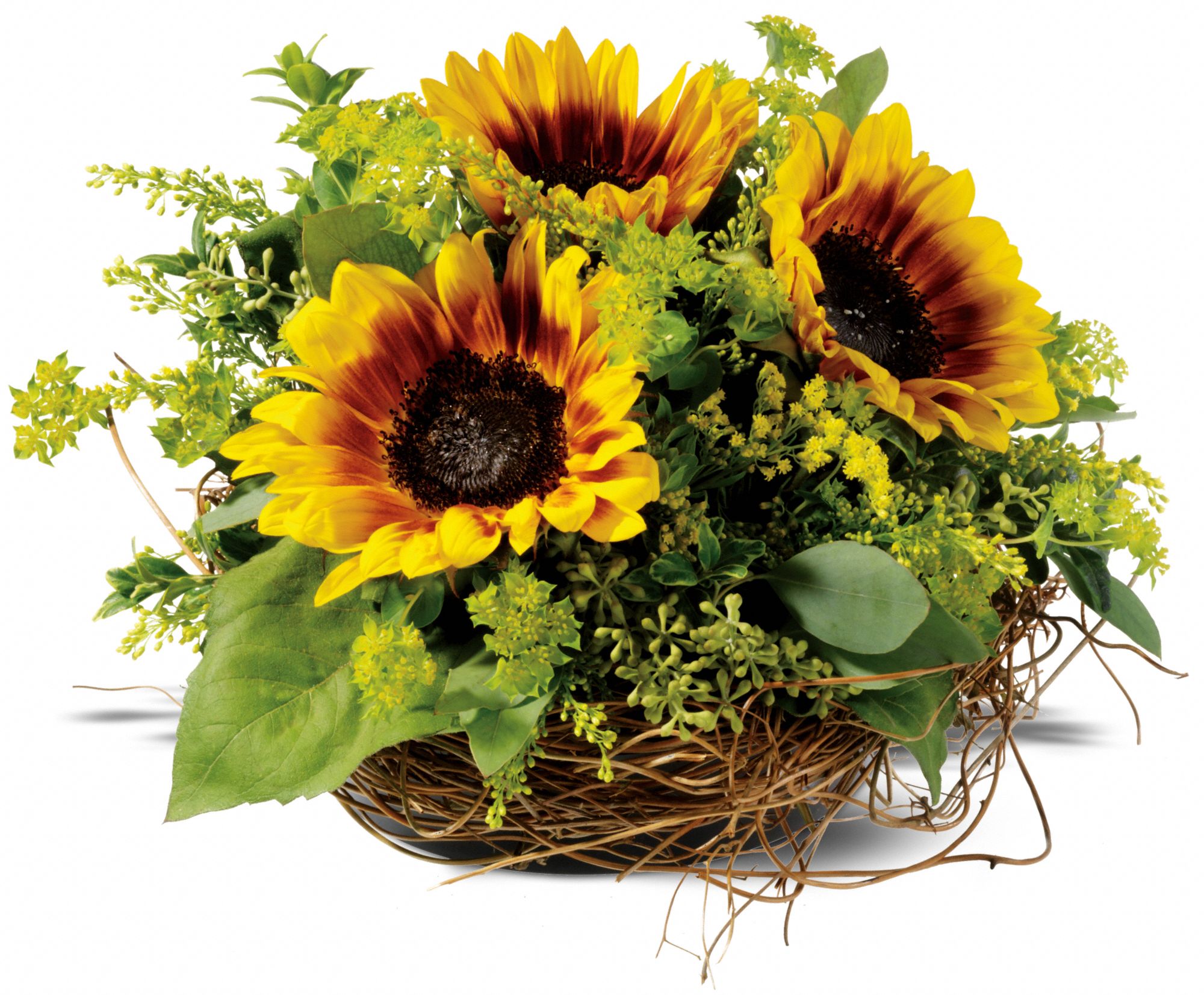 Nesting Sunflowers, picture