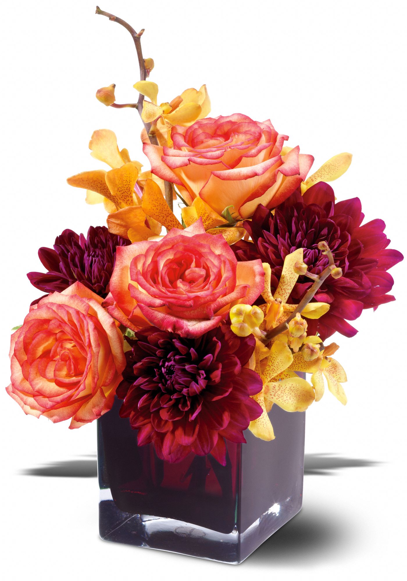 Teleflora's Burgundy Bliss in Rapid City&nbsp;SD, Fancies Flowers