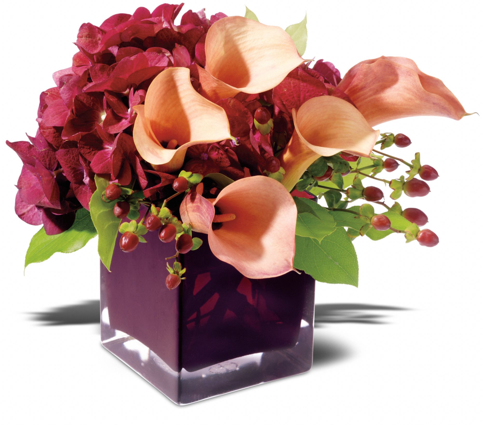 Teleflora's Calla Classique