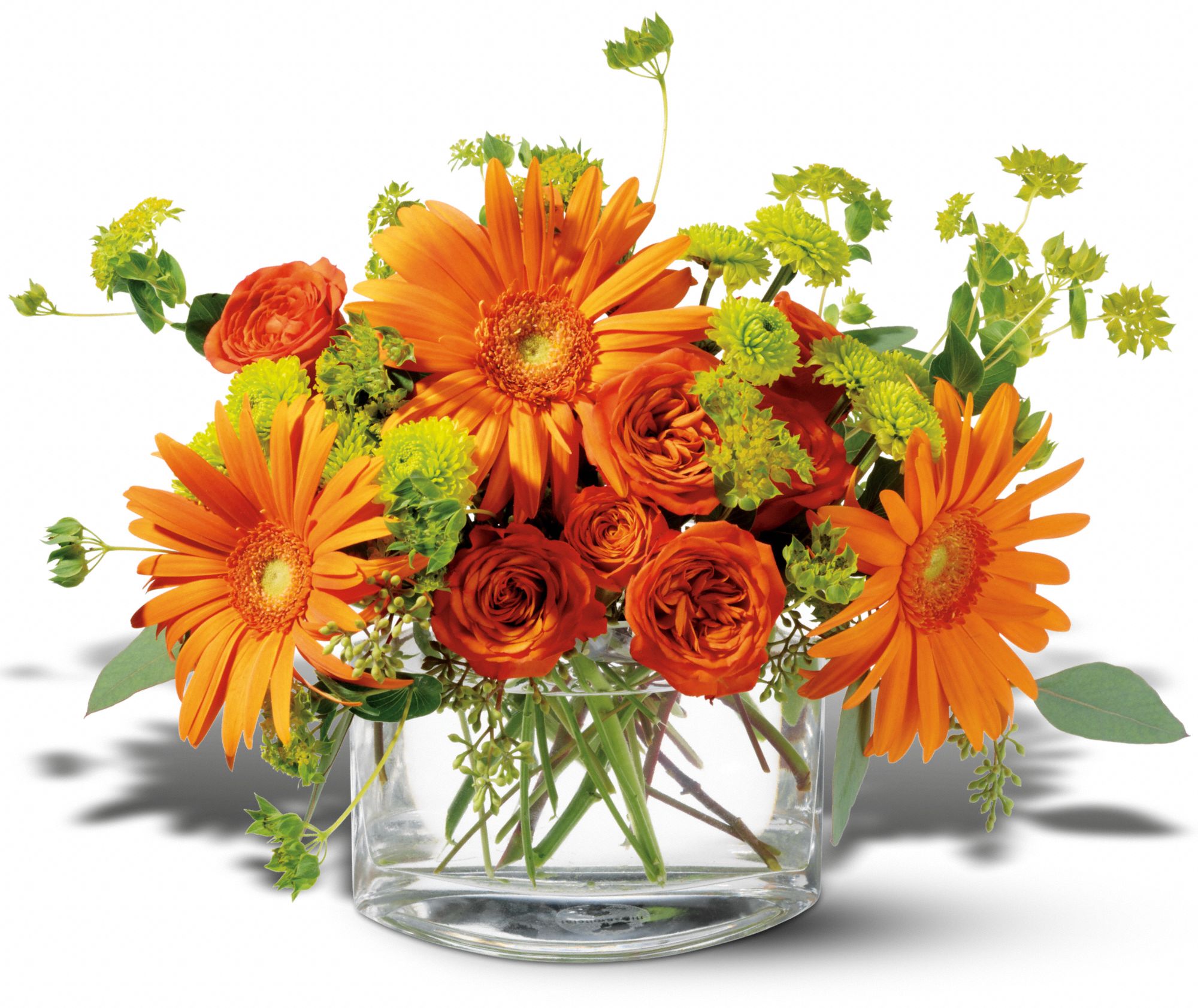 Teleflora's Fiery Fun, picture