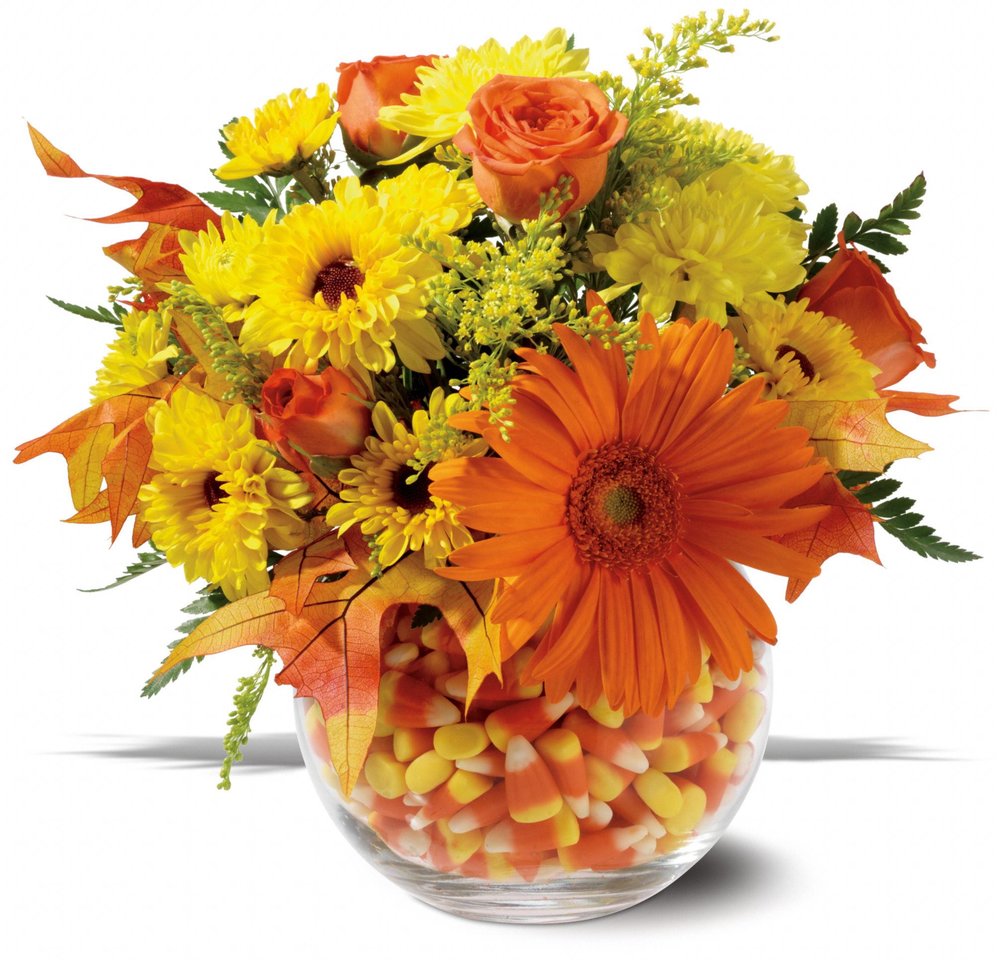 Sweet Autumn, picture