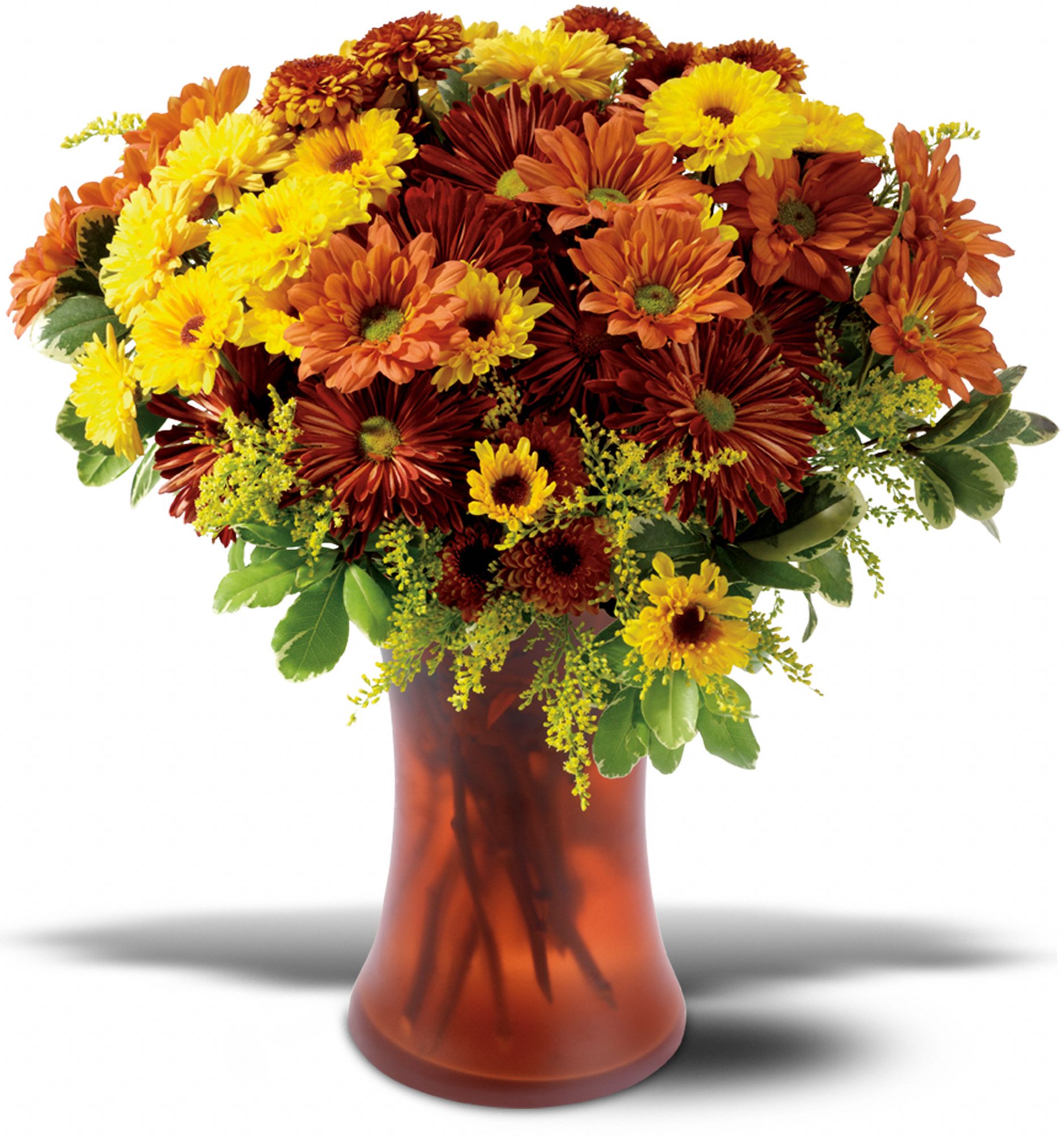 Country Chrysanthemums in Severna Park&nbsp;MD, Severna Park Florist Inc.