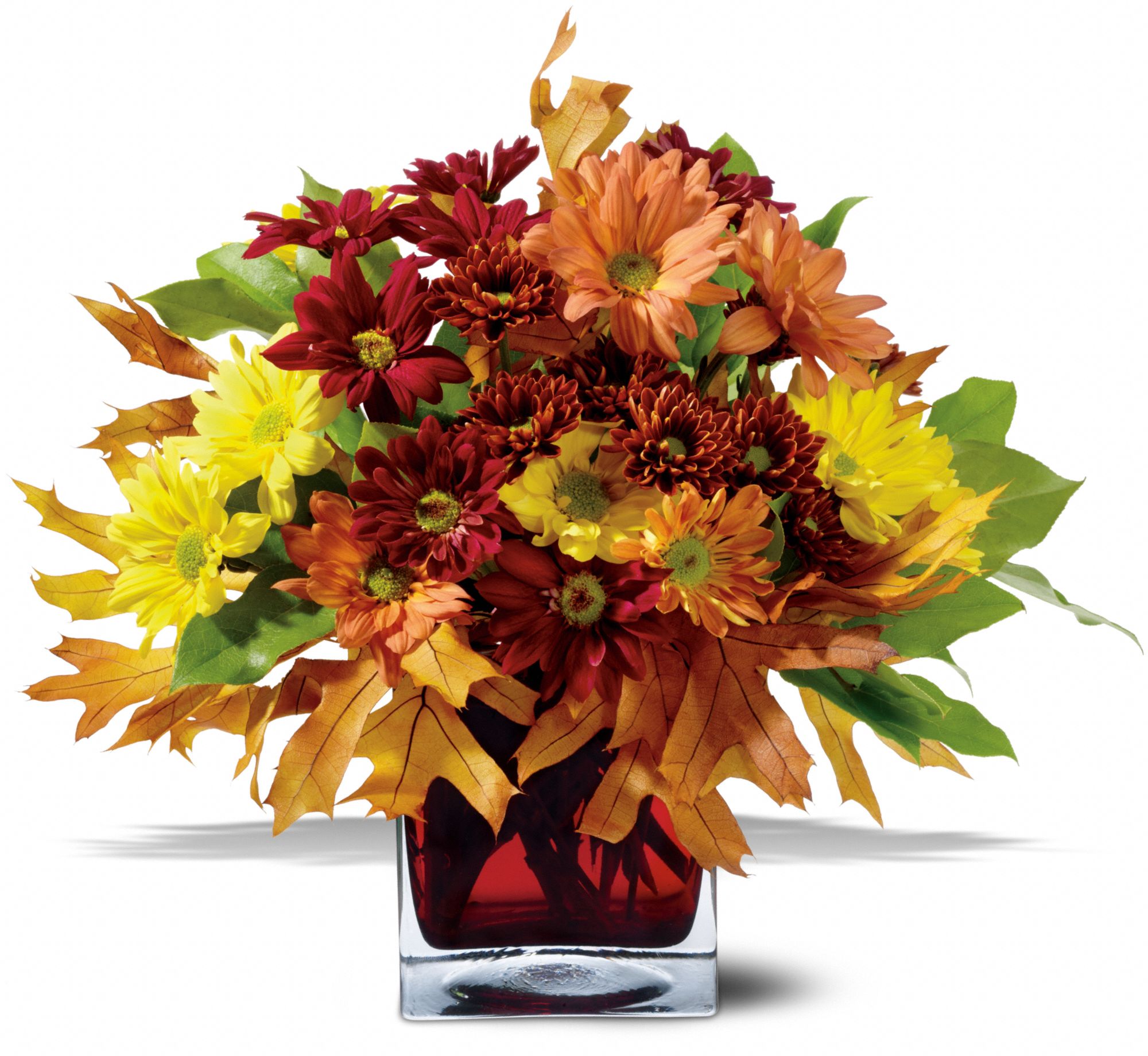 Teleflora's Mum Montage, picture