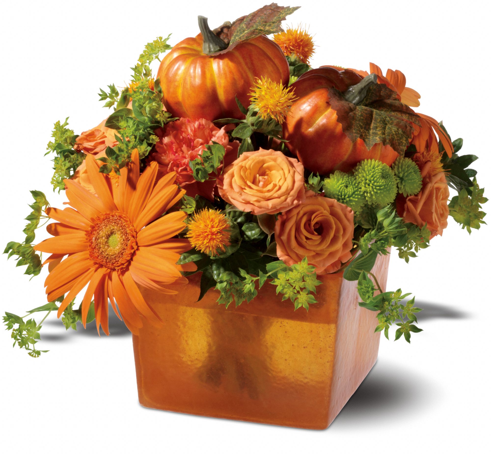 Pumpkin Spice, picture