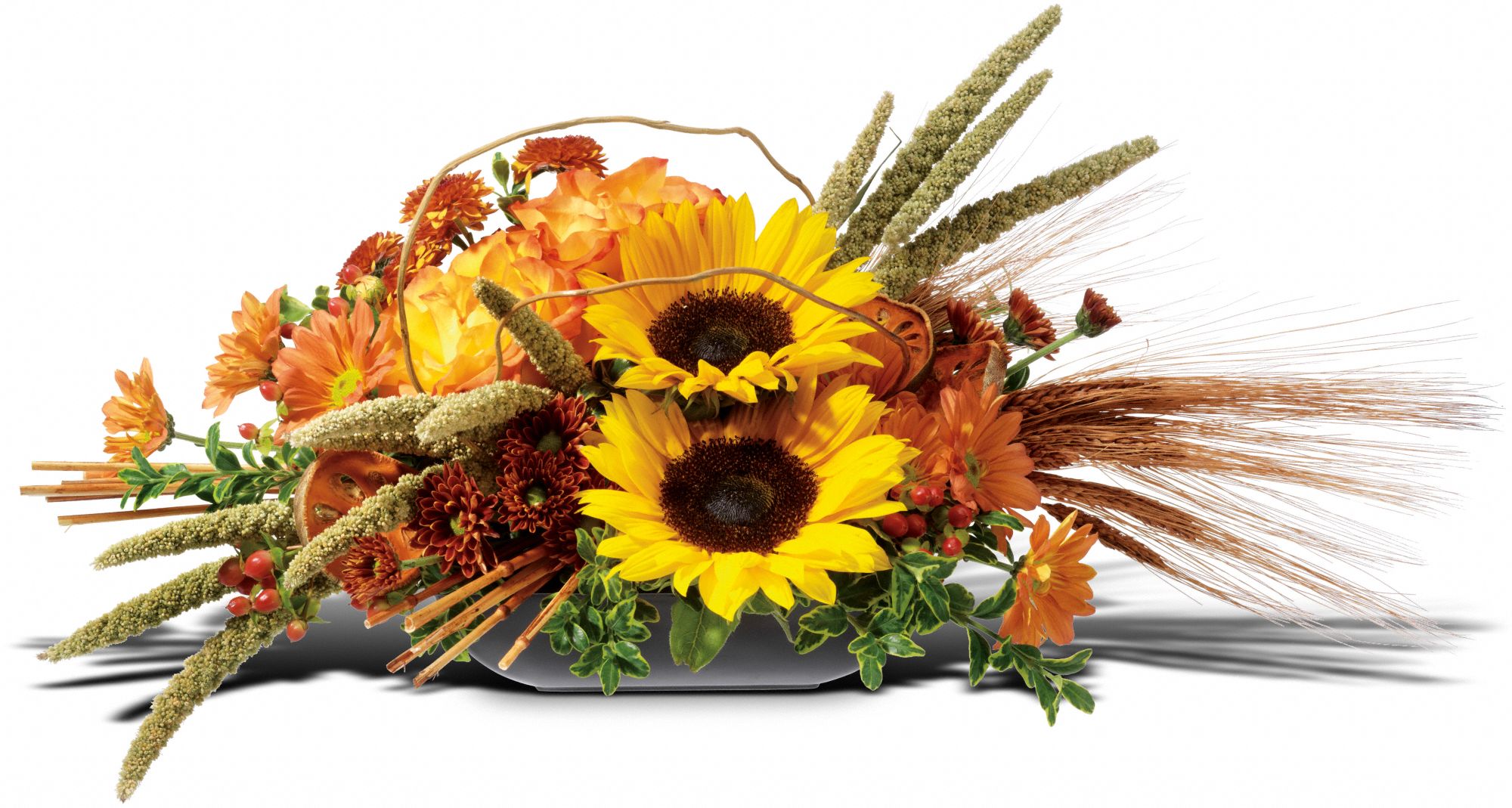 Harvest Time in Las Vegas&nbsp;NV, Enchanted Florist