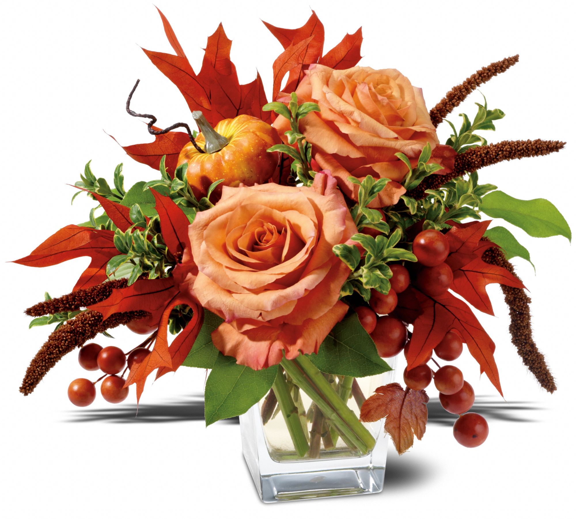 Petals and Pumpkin, picture