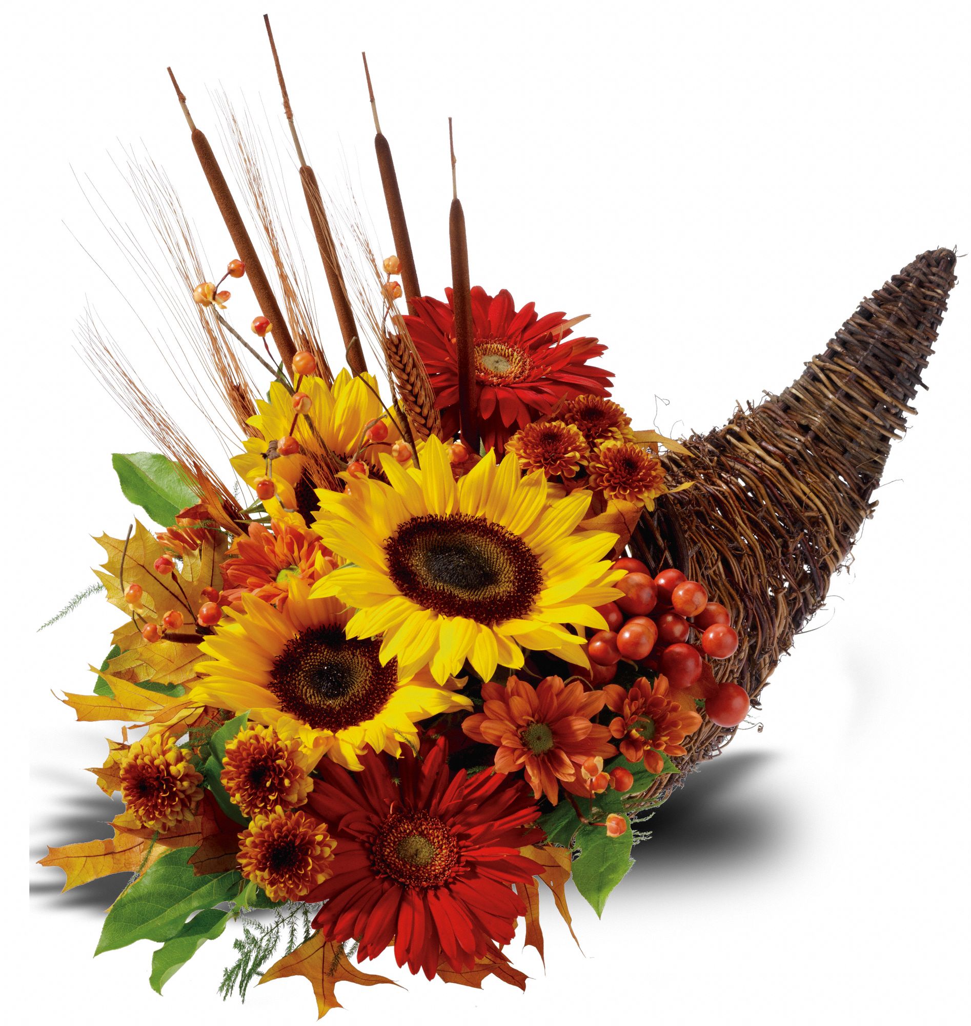 Country Cornucopia, picture