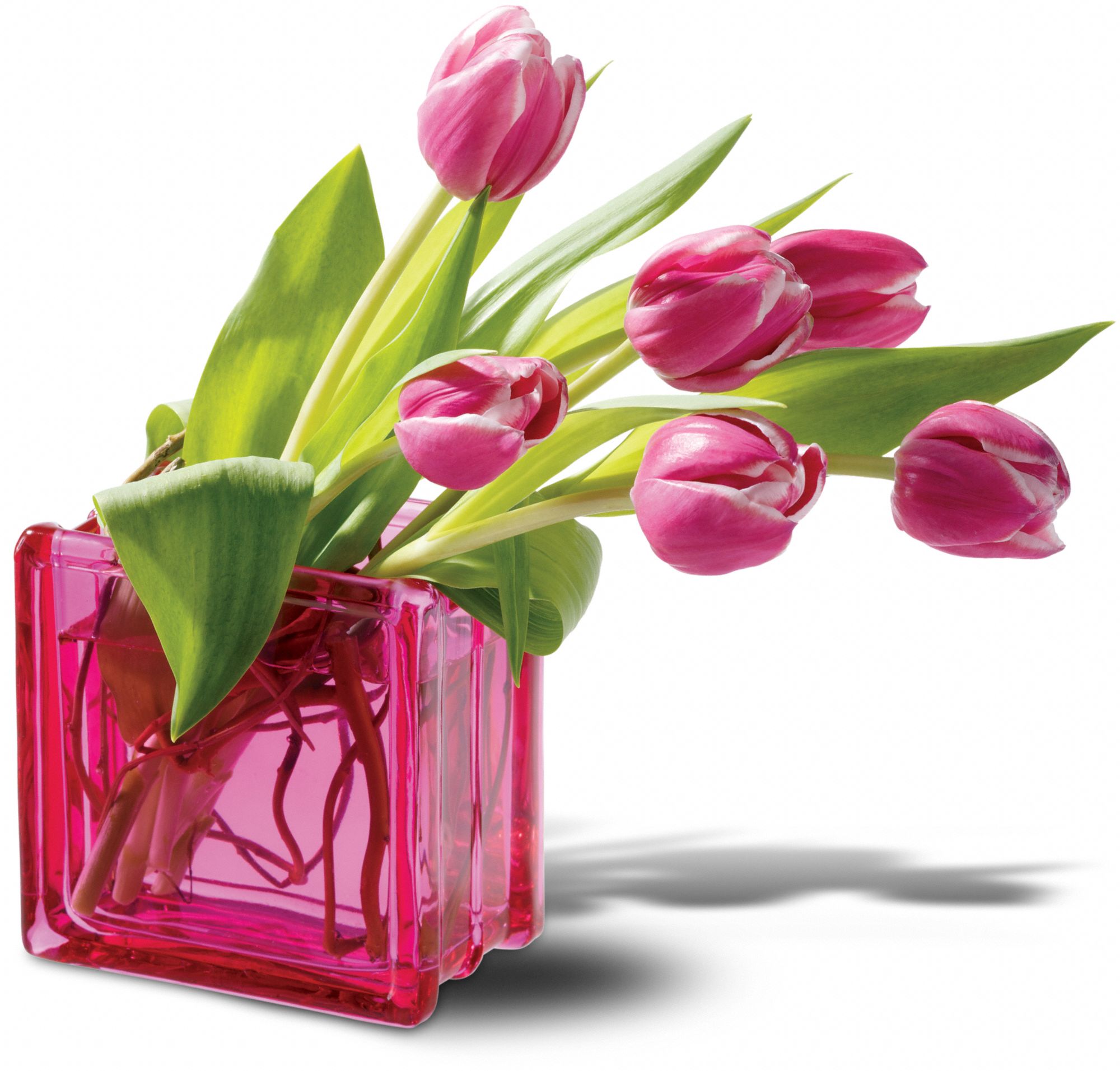 Teleflora's Bravo Bouquet in St. Clair Shores&nbsp;MI, Mancuso's Florist, Inc.