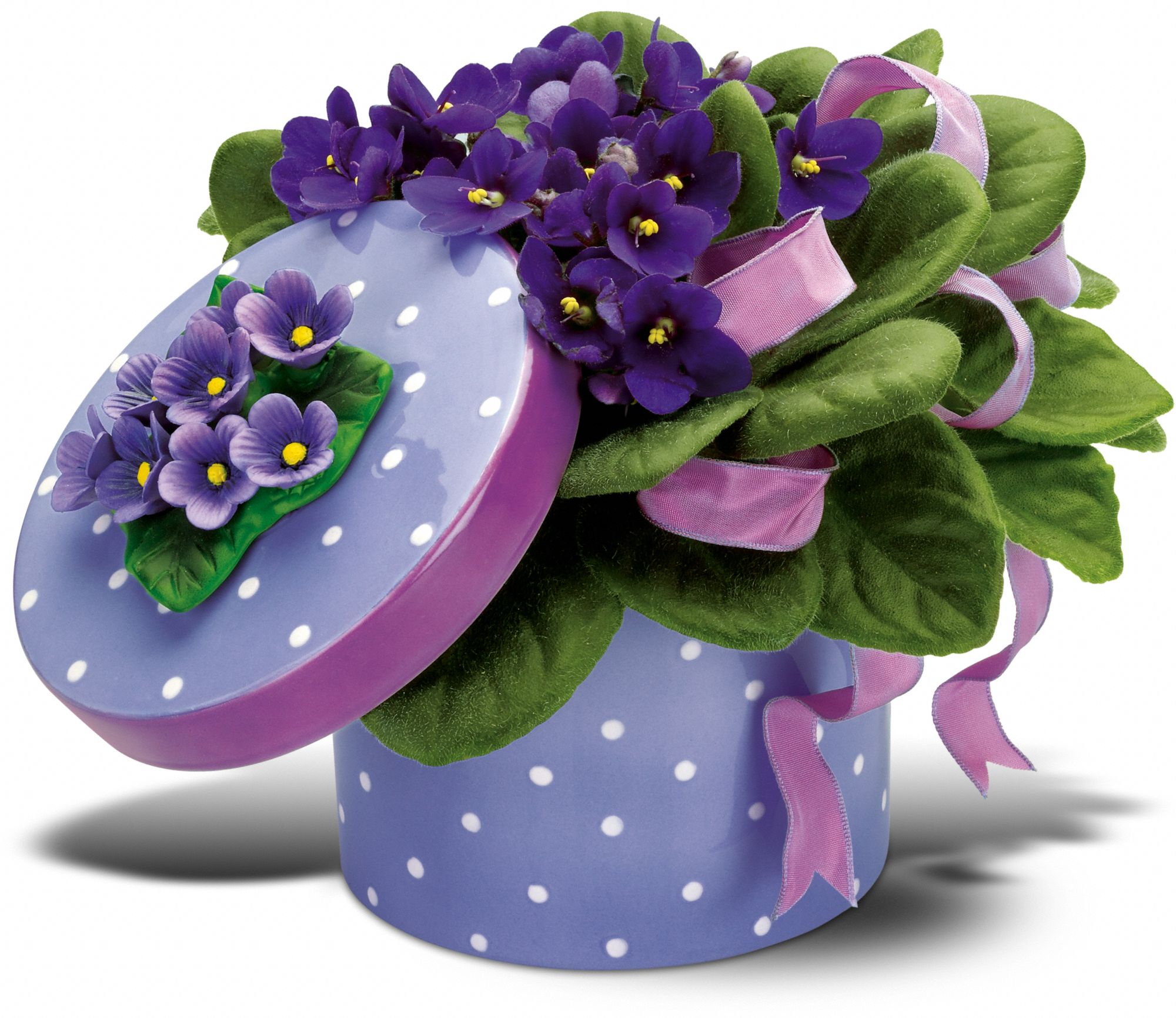 Teleflora's Violet Hatbox Bouquet, picture