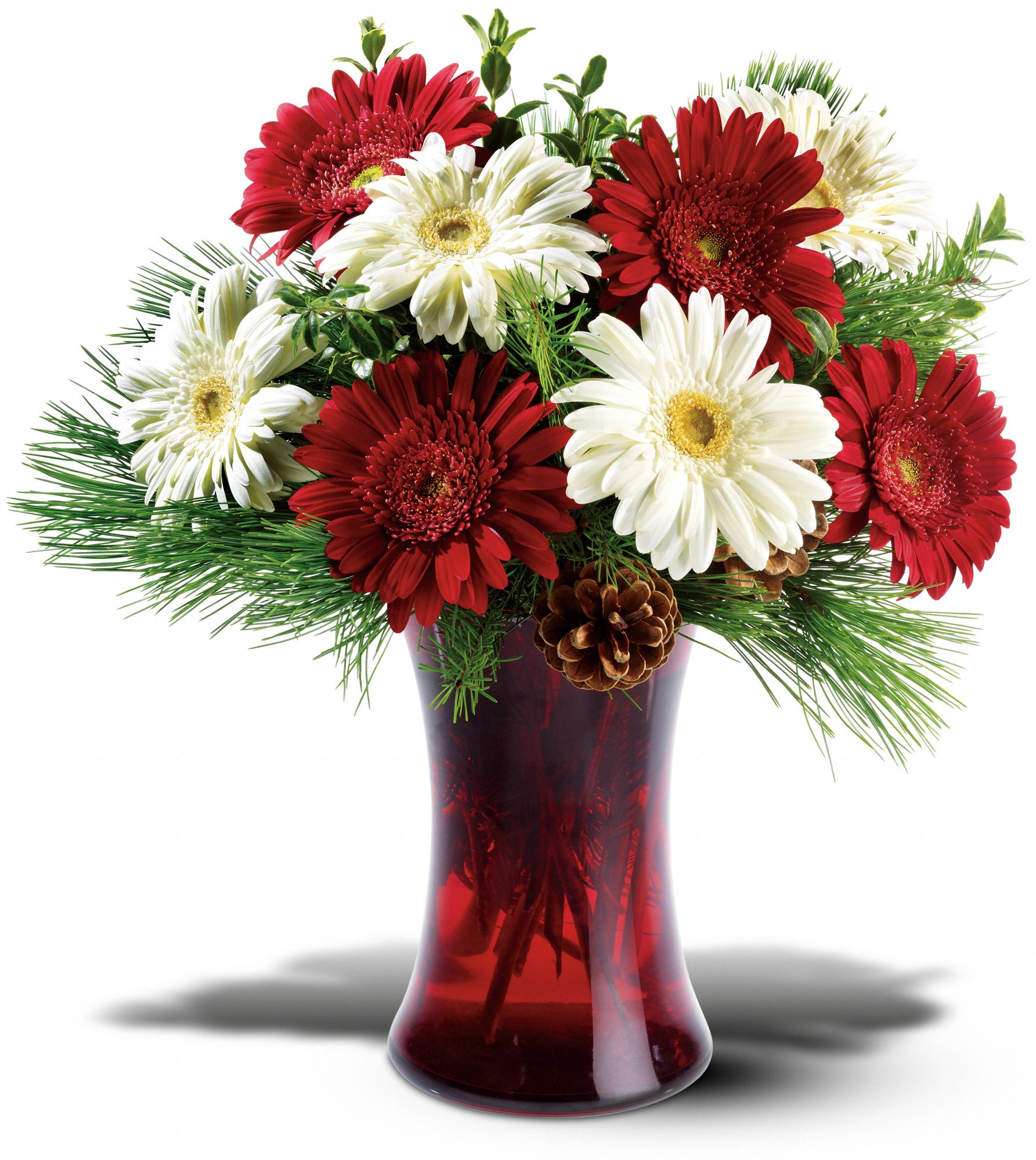Festive Gerberas, picture
