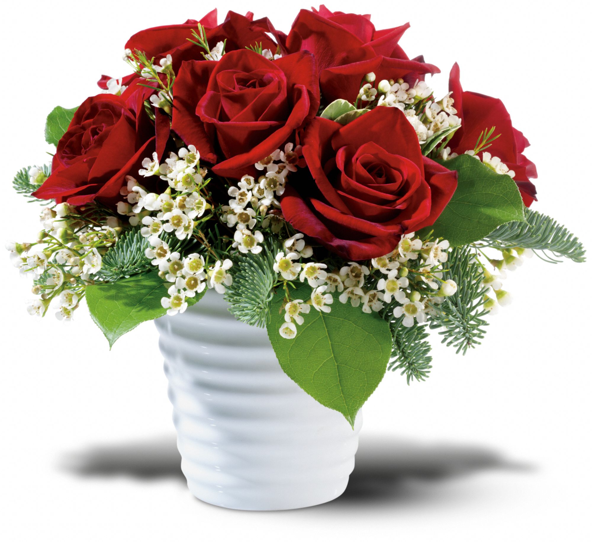 Ravishing Roses, picture