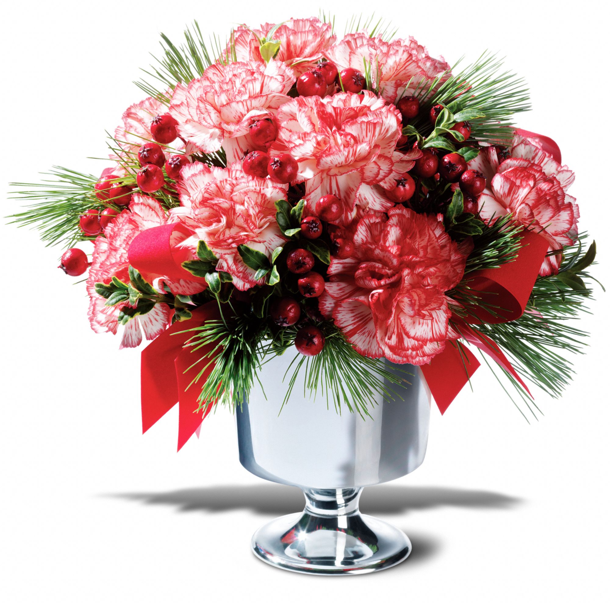 Peppermint Carnations, picture