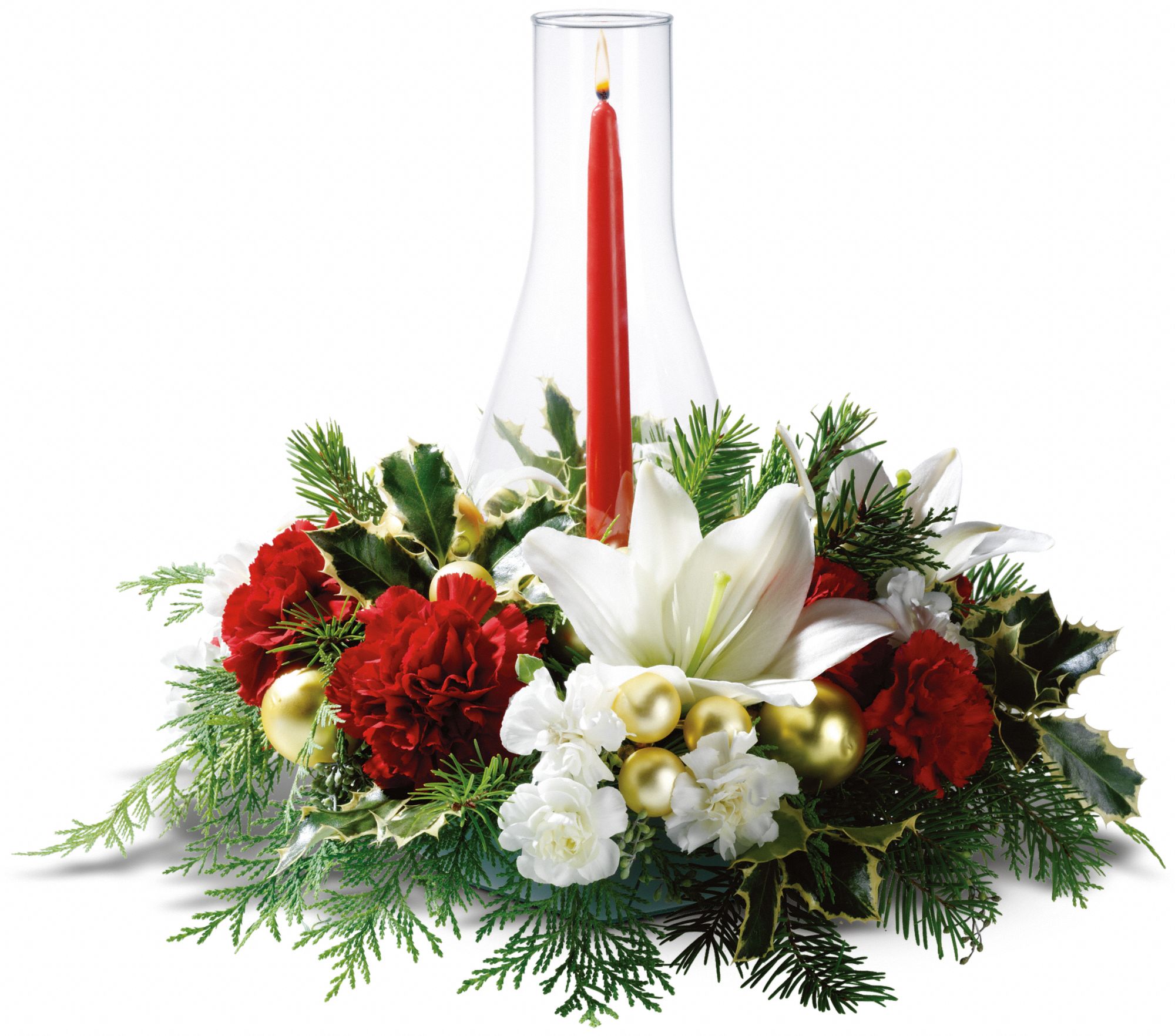 Luminous Holidays in Clarkston&nbsp;MI, Waterford Hill Florist and Greenhouse