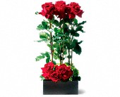 Margie's Florist II, Covington, Louisiana - Scarlet Splendor Roses, picture