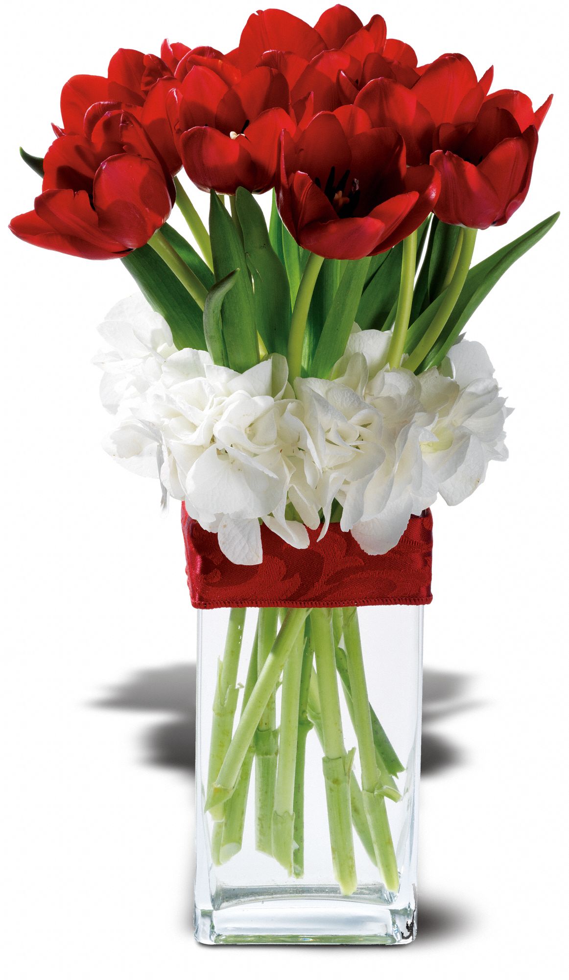 Graceful Tulips, picture